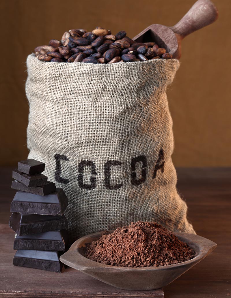 Dark Drinking Chocolate 20%